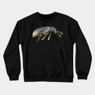 Very small fungus beetle under the microscope Crewneck Sweatshirt